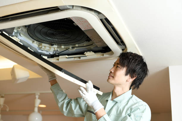 Best Dryer Vent Cleaning Services  in Cassopolis, MI